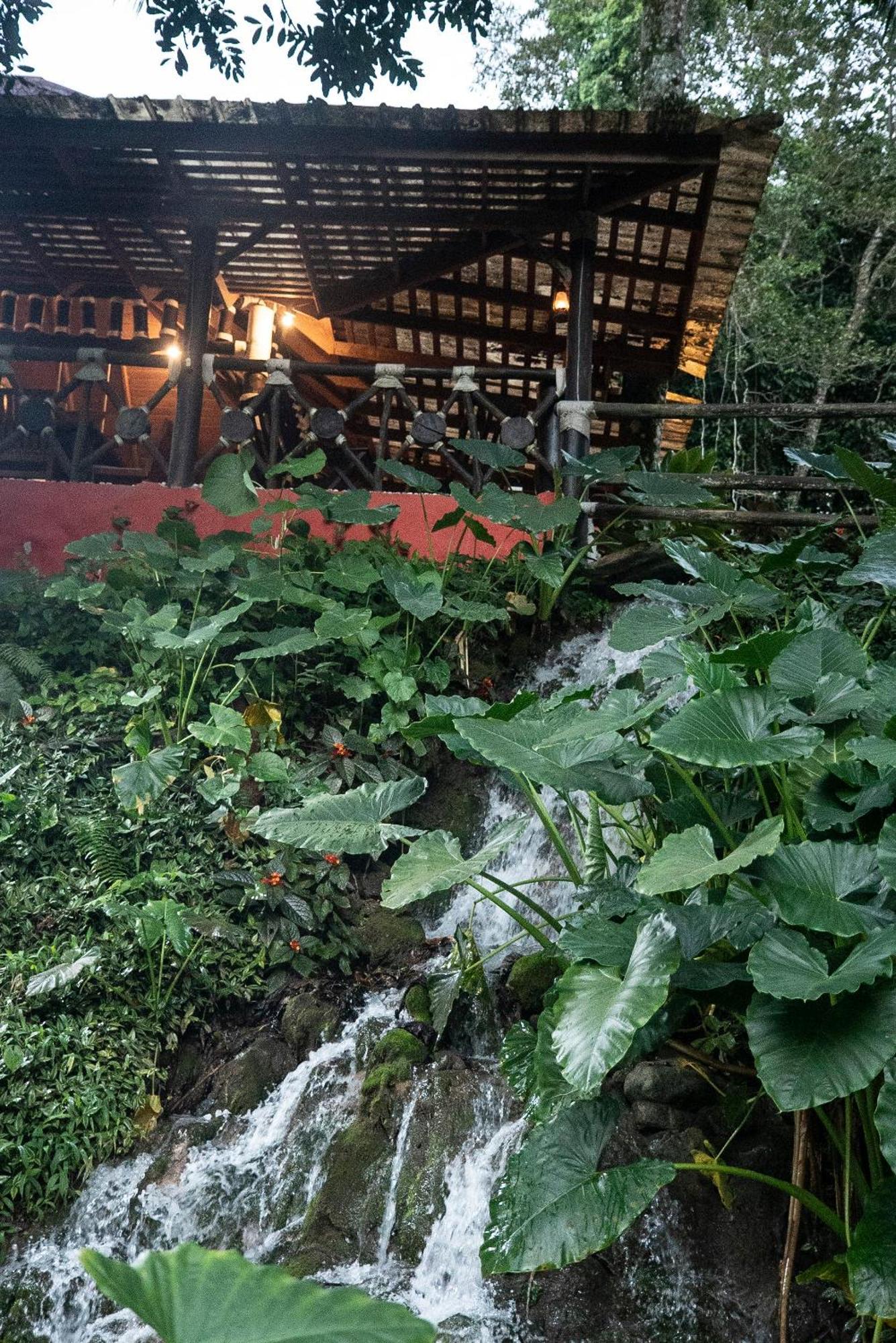 Platon Ecolodge Barahona Ngoại thất bức ảnh